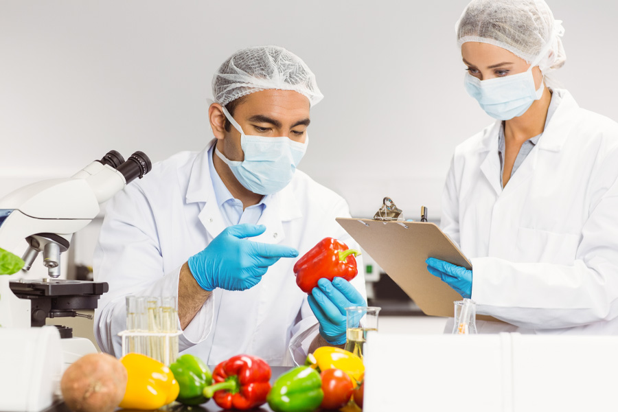 calidad-inocuidad-seguridad-alimentaria