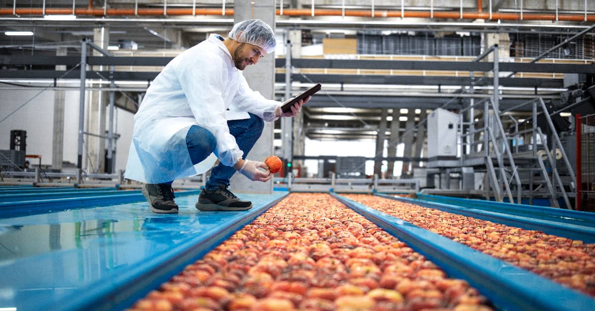 norma-IFS-tecnico-de-seguridad-alimentaria-SZ-Industrial